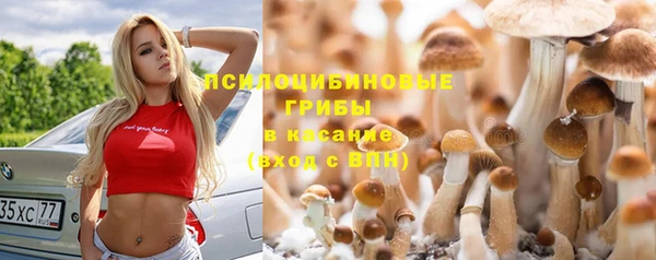 мефедрон Заводоуковск