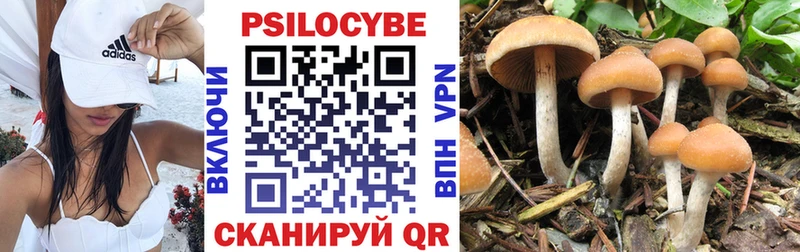 MEGA ссылки  Приволжский  Псилоцибиновые грибы ЛСД  где найти  